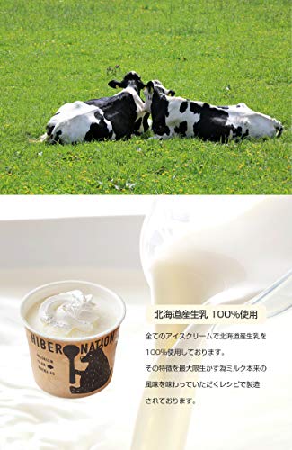 HIBERNATION デコレーションアイスクリーム6品セット 4