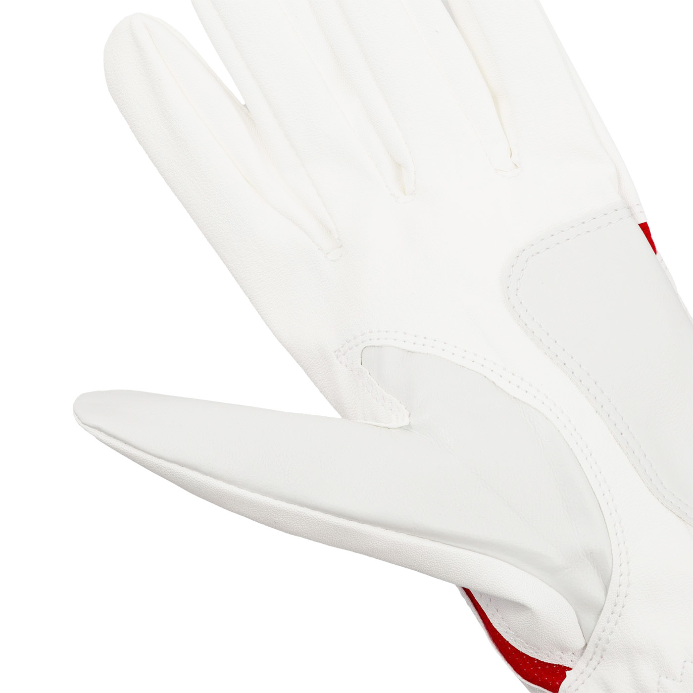 4b3b8a4a36962c058777e193268b56