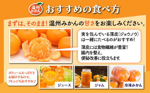 温州みかん 3