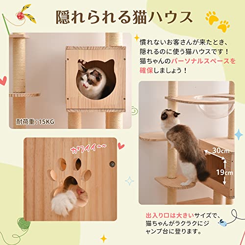 キャットタワー  5