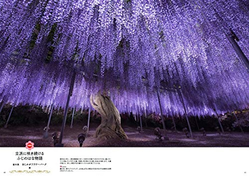 はなまっぷ 世界中に贈りたい 花の絶景100 5