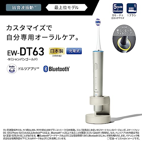 ドルツ 音波振動歯ブラシ EW-DT63-N Doltz パナソニック 音波振動ハブラシ ドルツ EW-DT63 全2色