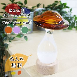 ストームグラス きのこ 1