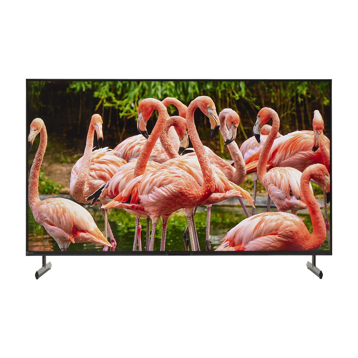 SONY BRAVIA（ブラビア）の55インチテレビのおすすめ人気