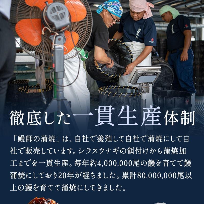うなぎ蒲焼き 10