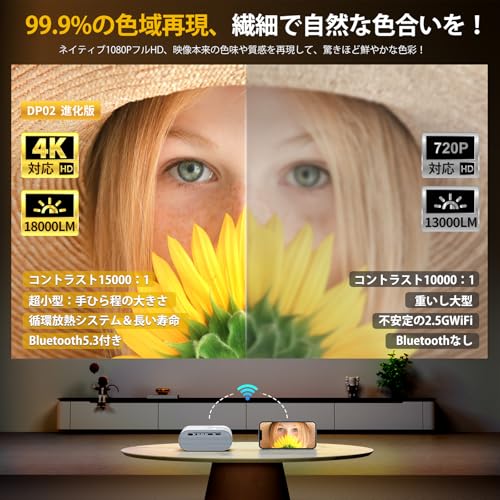 小型プロジェクター 2