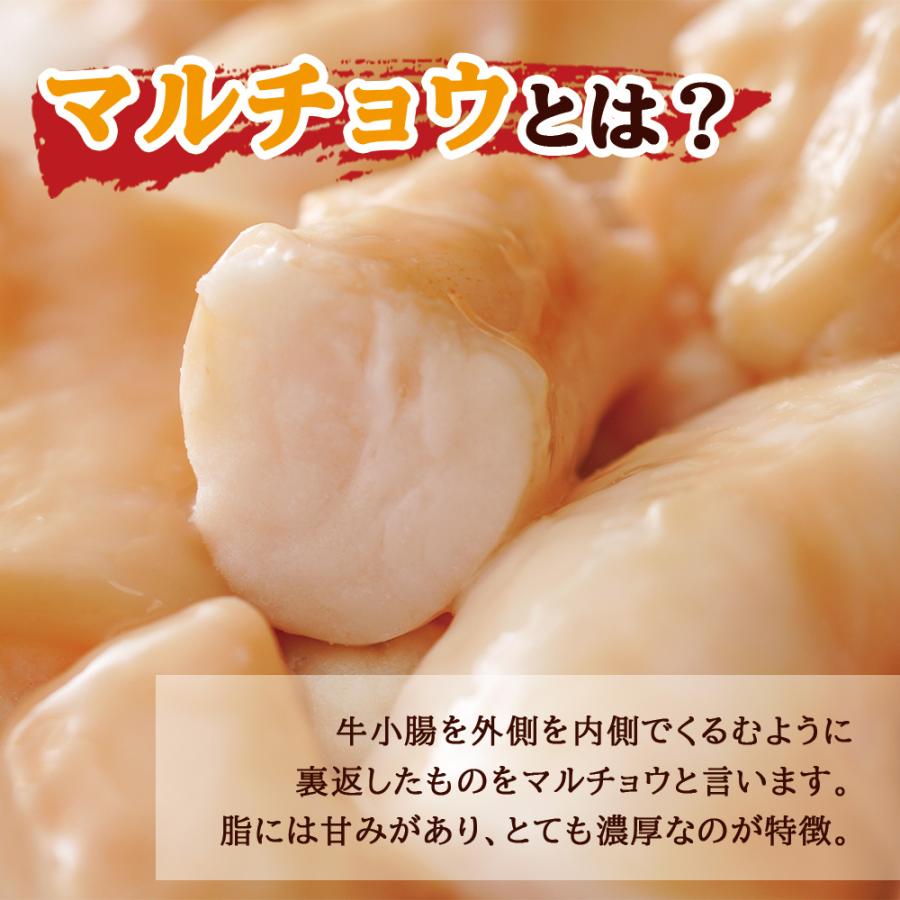 マルチョウ とろっと 牛ホルモン 3