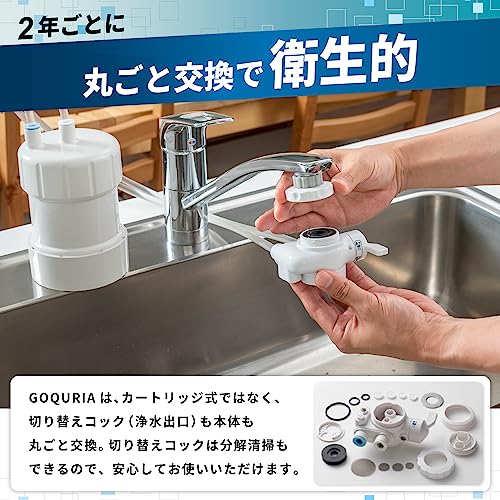GOQURIA （ゴクリア） 5