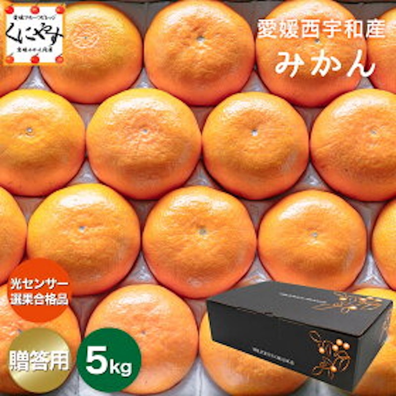 愛媛西宇和産みかん 1