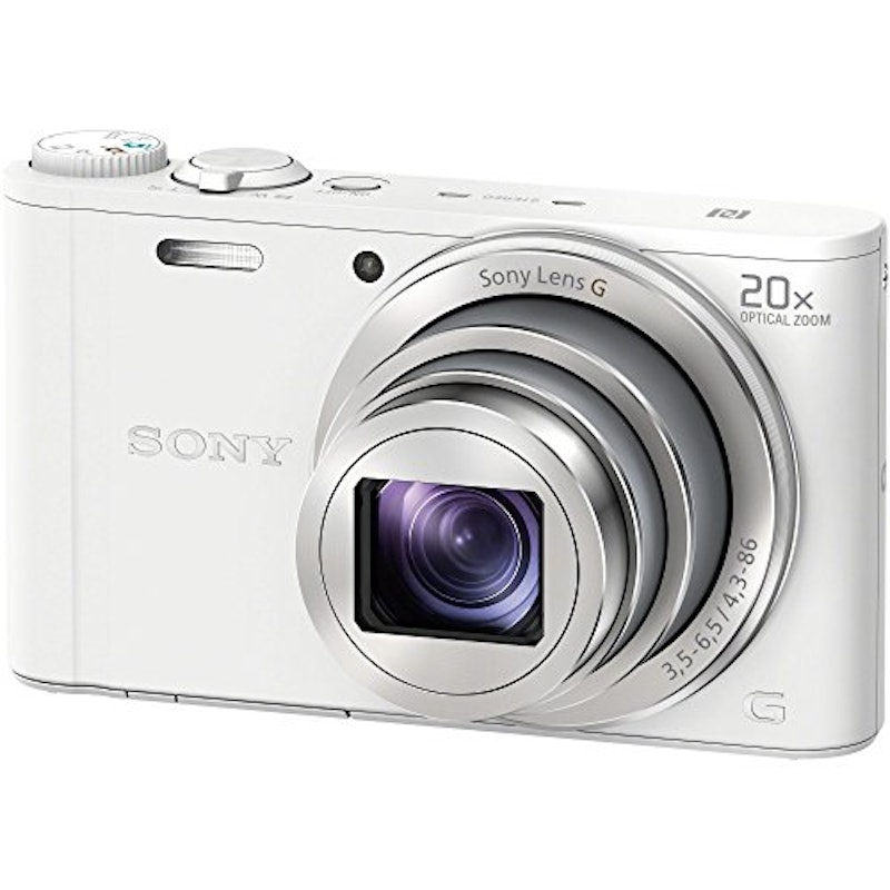DSC-WX350 1