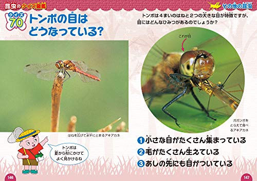 アキアカネ 小さめクッション 非公式