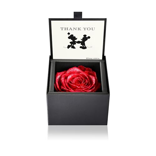 プリザーブドフラワーのおすすめ人気ランキング【2026年4月】 | マイベスト