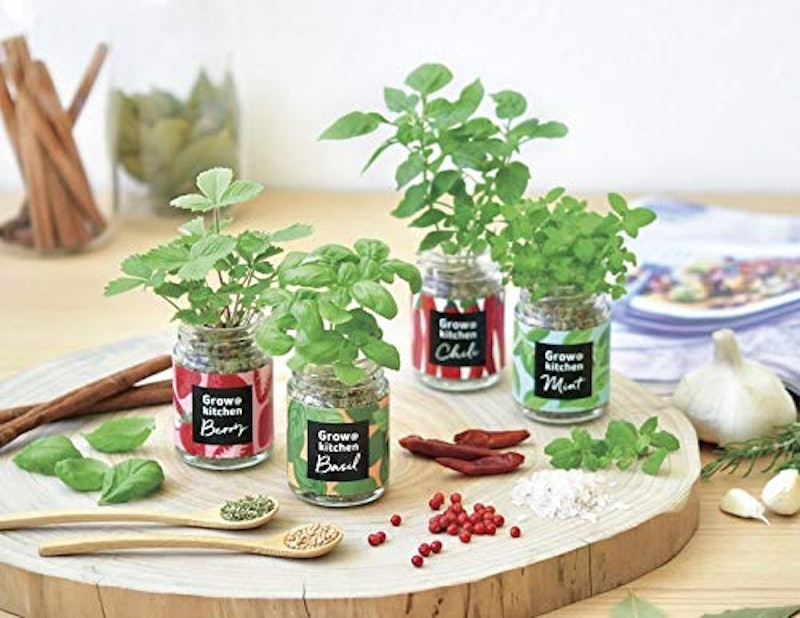 21年 ハーブ初心者向け栽培キットのおすすめ人気ランキング10選 Mybest 21年 ハーブ初心者向け栽培キットのおすすめ人気ランキング10選 Mybest
