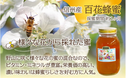 信州産蜂蜜 百花 2