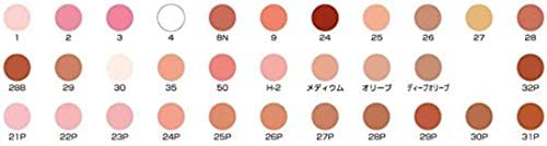 グリースペイント 27 2