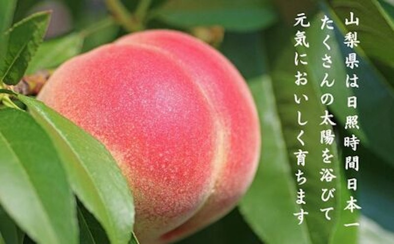 山梨県産 朝採れ桃 2