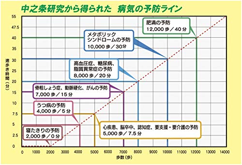 アクティブ万歩計 6