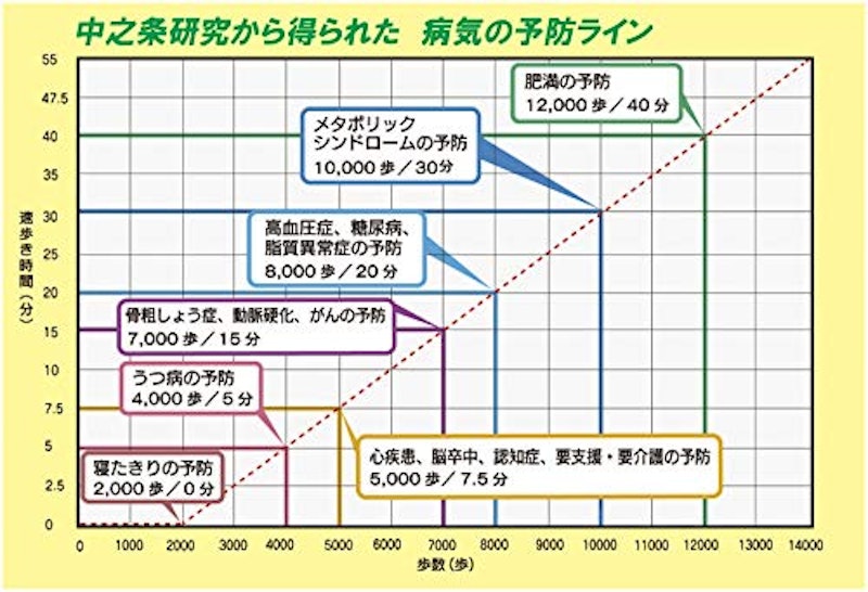 アクティブ万歩計 6