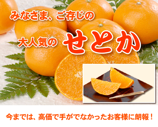 せとか 2