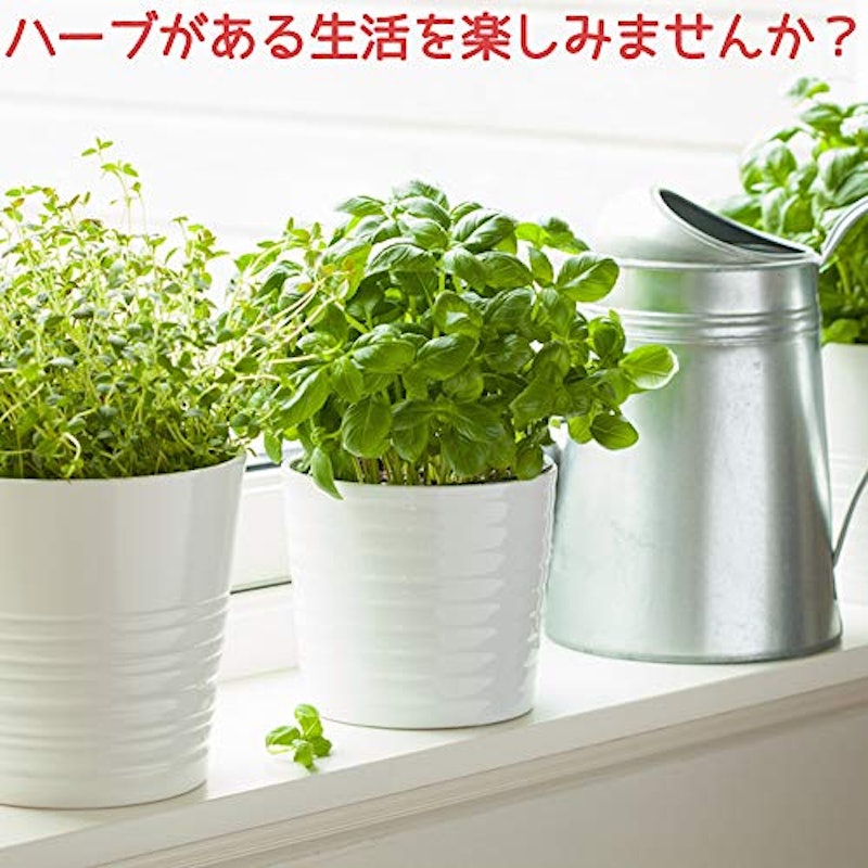 おまかせハーブセット 7