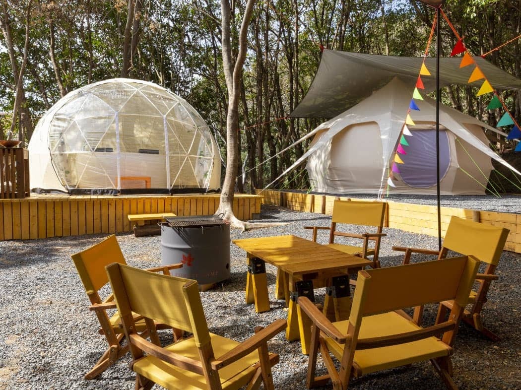 TASO FOREST CAMP 1
