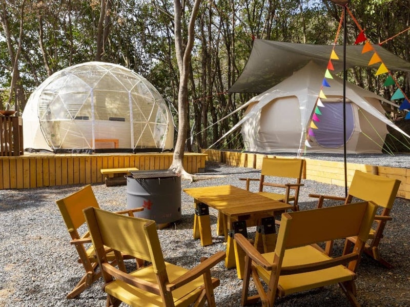 TASO FOREST CAMP 1