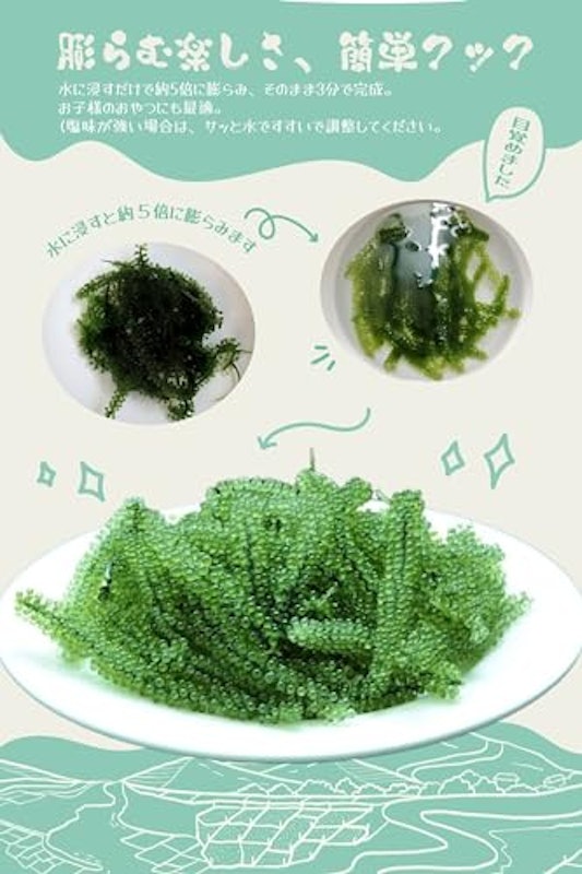 海ぶどう 4