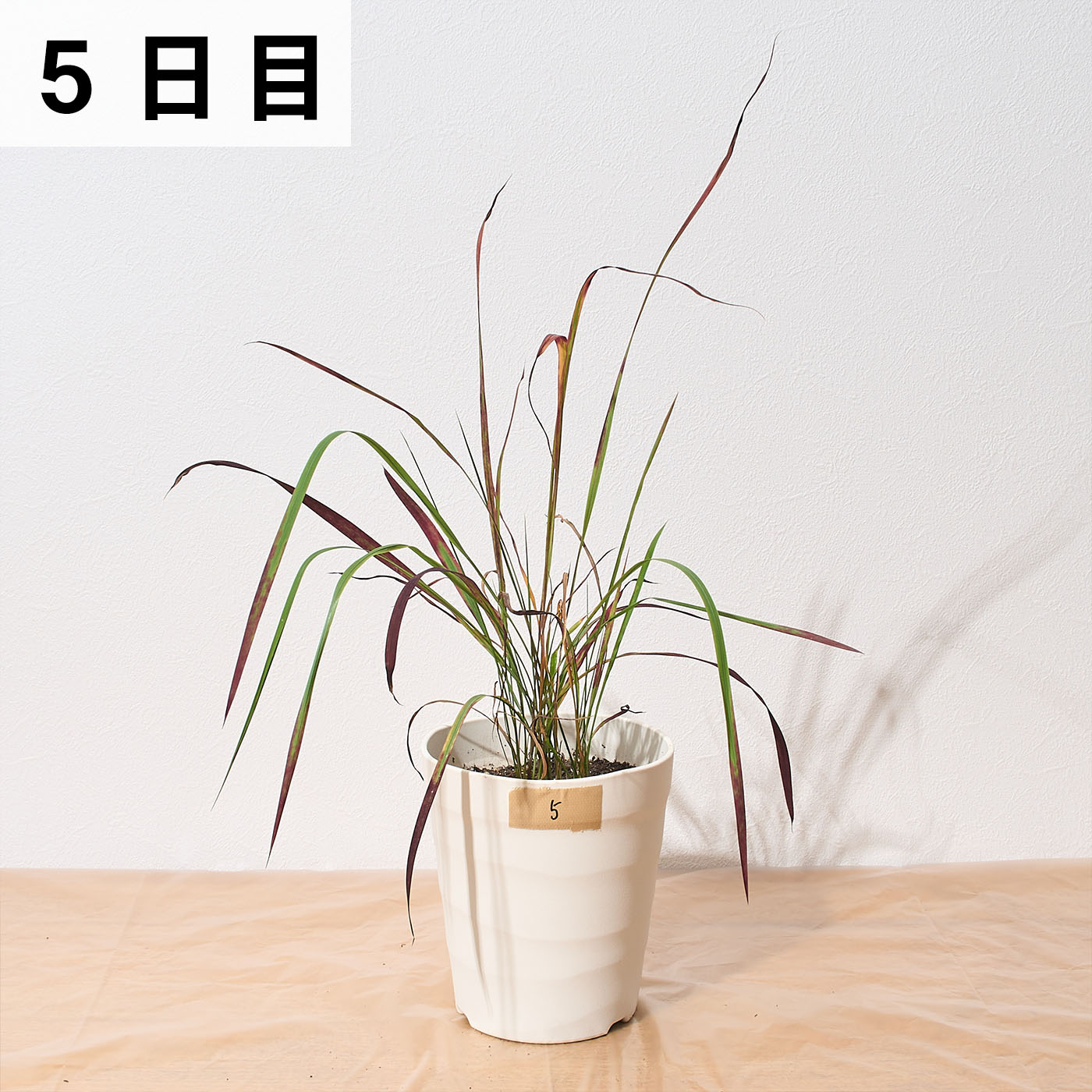 一刀両断 16
