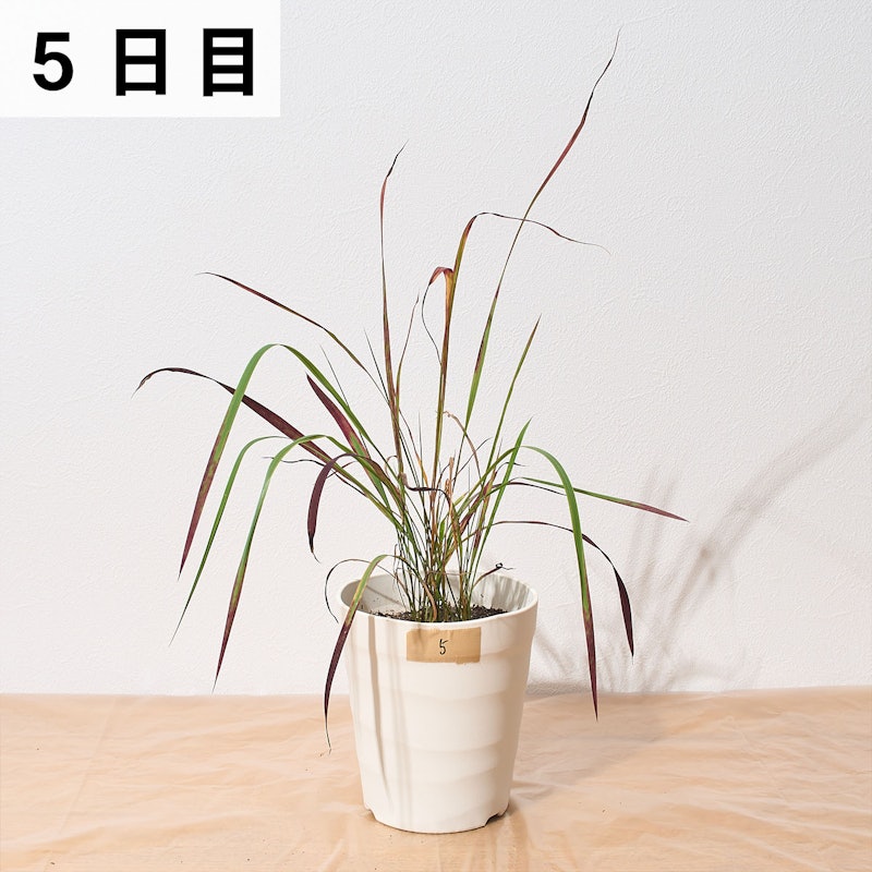 一刀両断 16