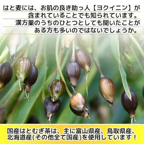 国産 はとむぎ茶 3