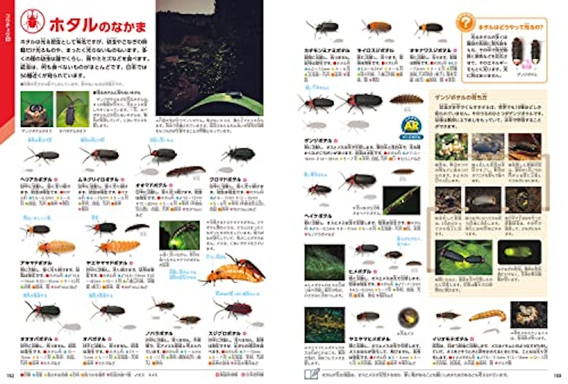 昆虫 新版 5