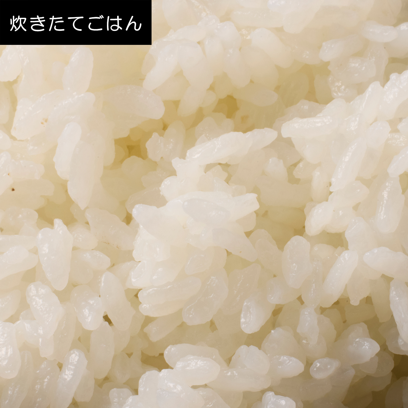 圧力IHジャー炊飯器 ご泡火炊き 10