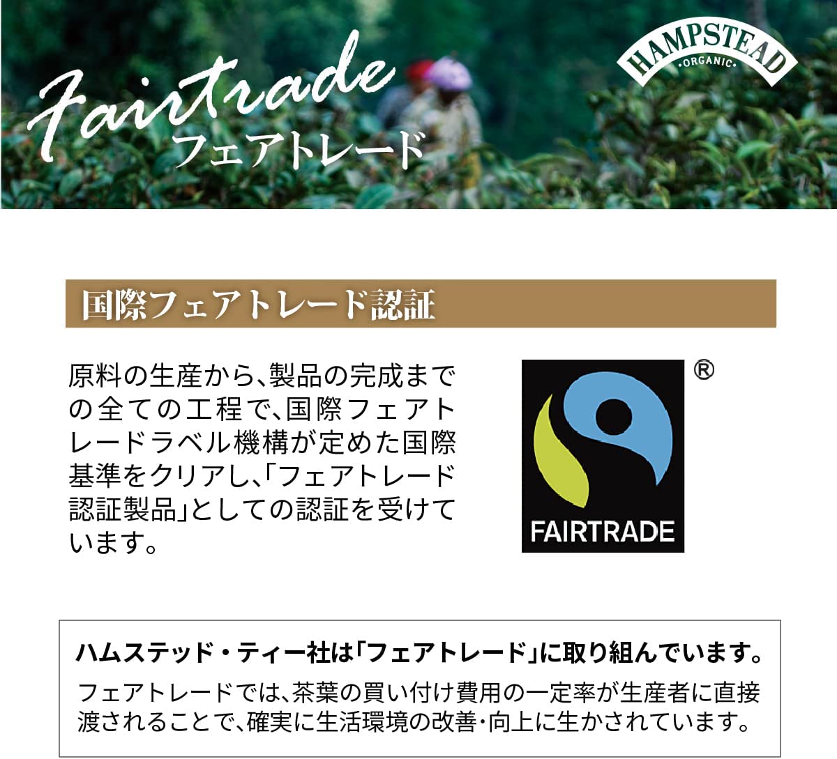 イングリッシュブレックファースト 4