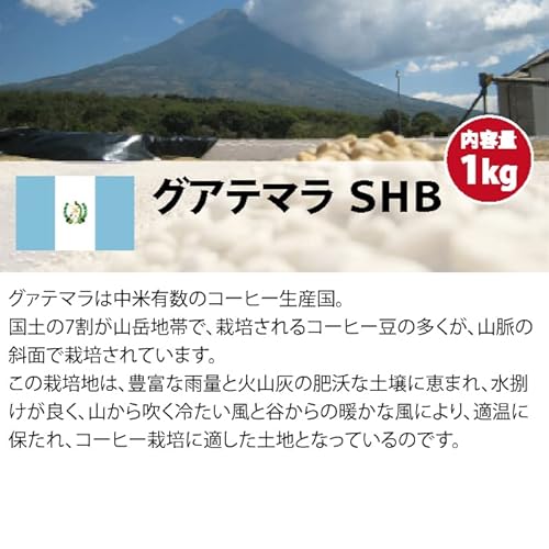 コーヒー生豆 グアテマラ 2