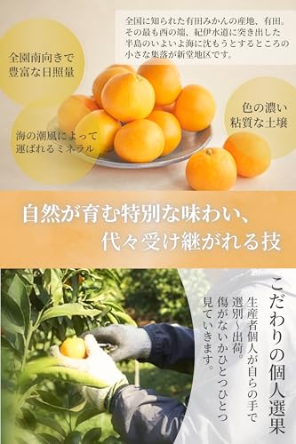 新堂みかん 4