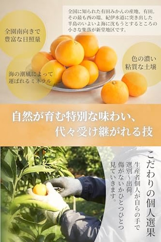 新堂みかん 4