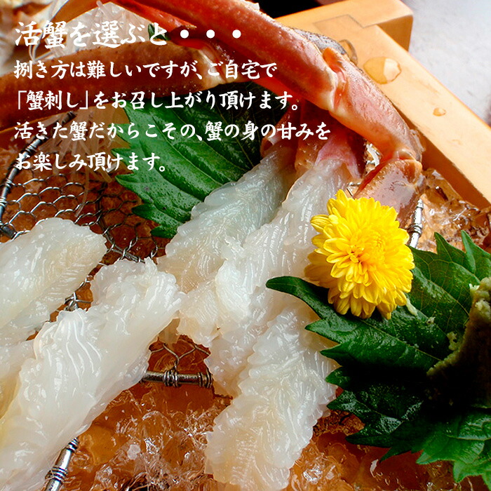 加能かに 5