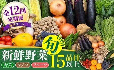 野菜定期便 フルーツ きのこセット 15品目以上 1