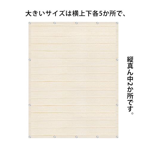 サンシェード 4