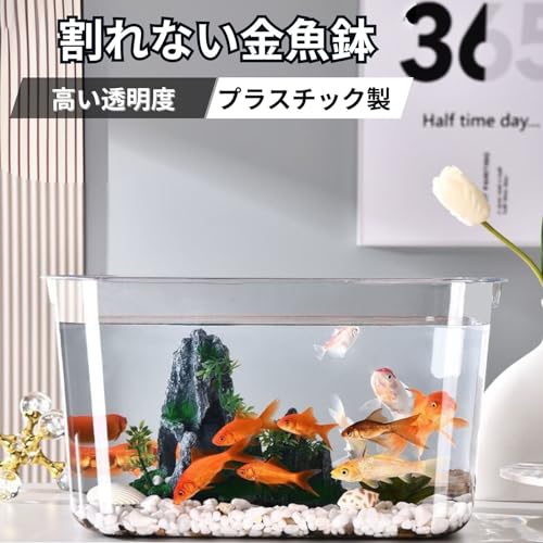 金魚鉢 2