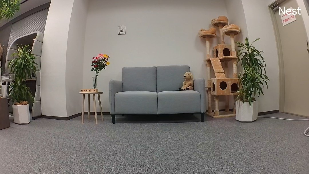 Google Nest Cam 2