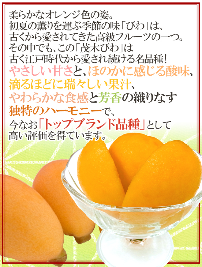 茂木びわ 訳あり 3