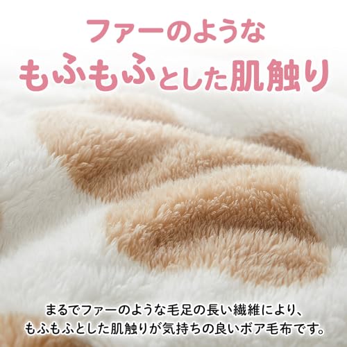 毛布 2