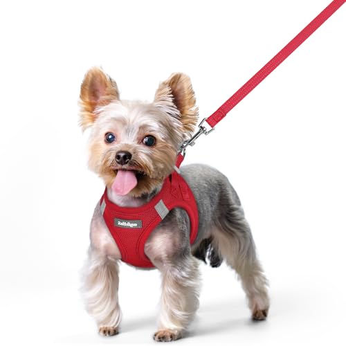 犬ハーネス 1