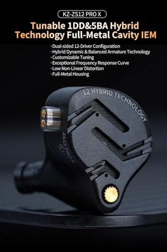 ZS12 Pro X 2