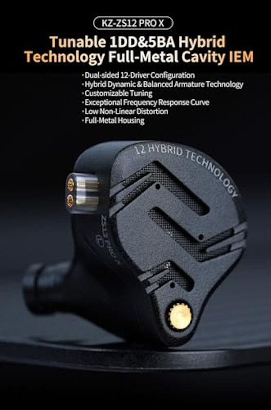 ZS12 Pro X 2