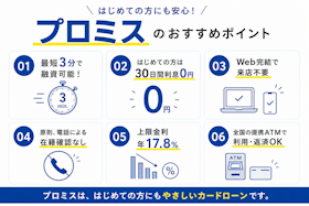 プロミスは借りるとやばい?レイク・アコム・アイフルとの違いは?金利からネット返済の方法まで徹底調査 2