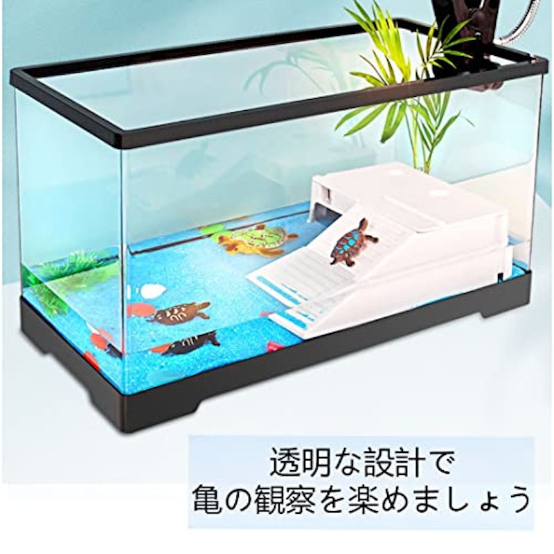 カメ用水槽 4