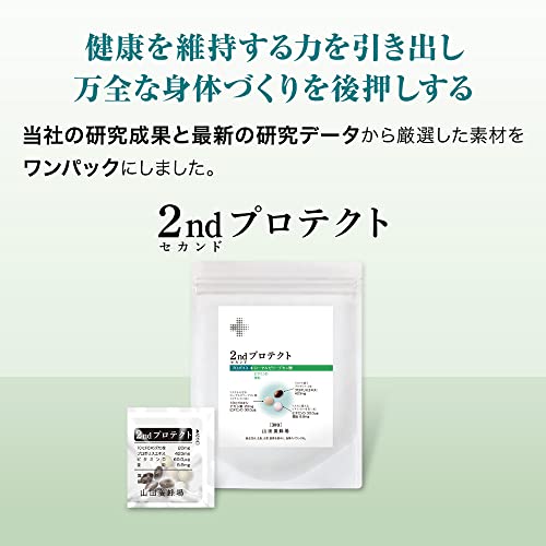 2ndプロテクト 2