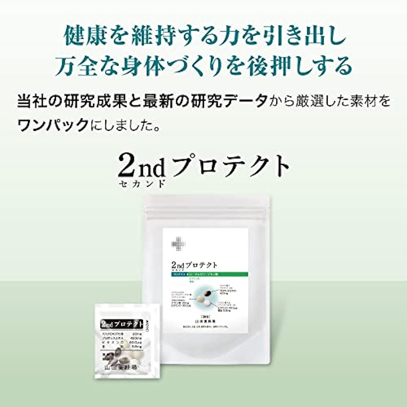 2ndプロテクト 2